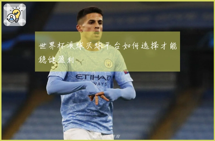 世界杯滚球买球平台如何选择才能稳健盈利