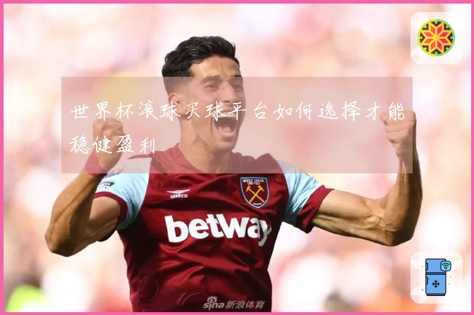 世界杯滚球买球平台如何选择才能稳健盈利